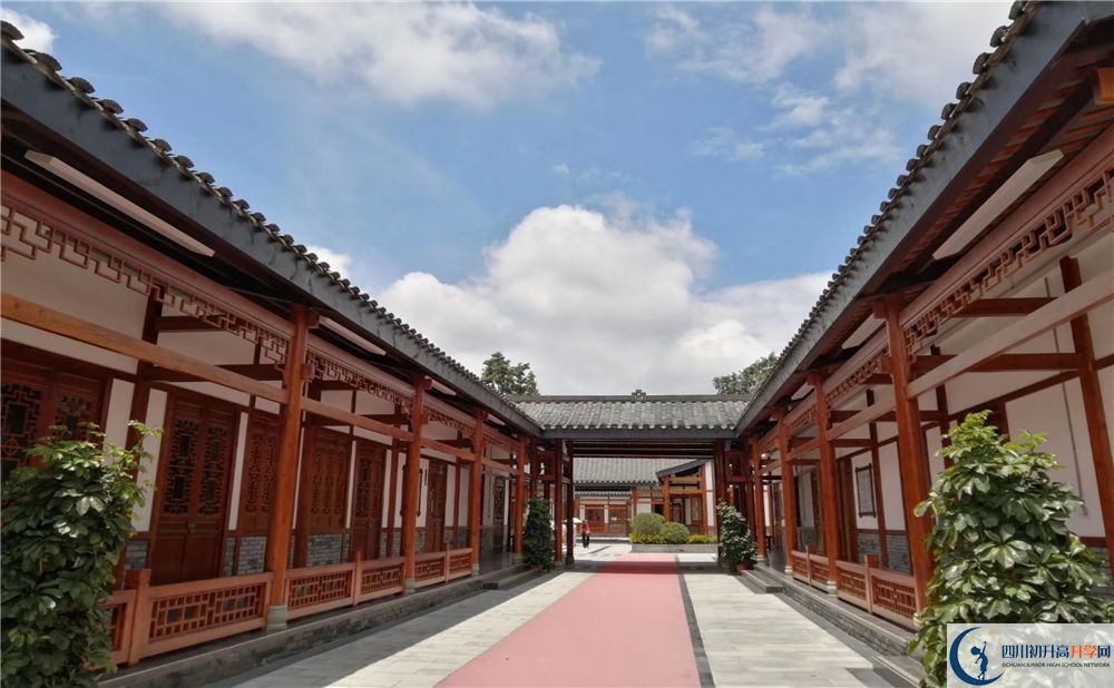 成都綿實(shí)外2020年怎么樣？