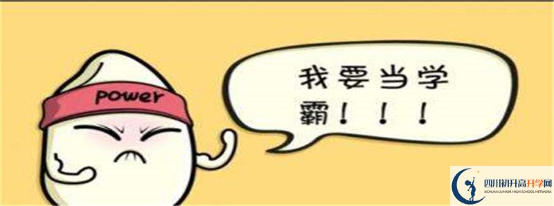北二外成都附中2021清華北大錄取學生多少？