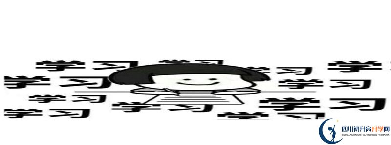 成都外國語學(xué)校和成都美視國際學(xué)校哪個好？