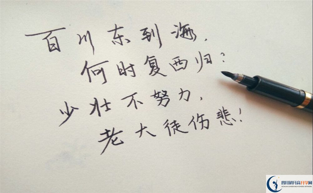 攀枝花市體育中學(xué)招辦電話是多少？