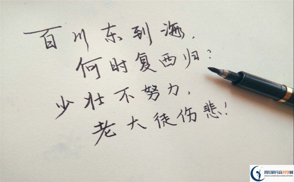 2023年成都市成都七中八一學(xué)校本科升學(xué)率是多少？